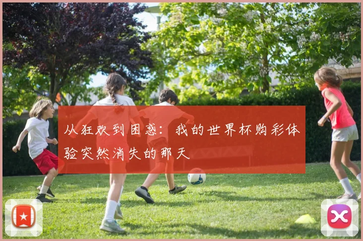 从狂欢到困惑：我的世界杯购彩体验突然消失的那天